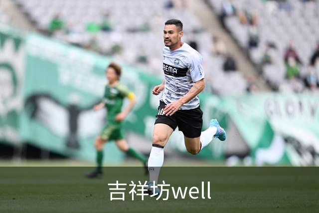 吉祥坊well公司介绍图片